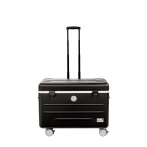 Parat N12 trolley systeem